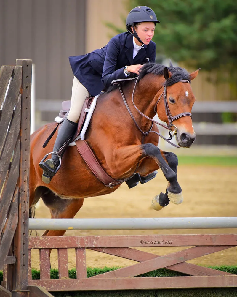 A rider in a navy coat jumping a bay horse over an oxer