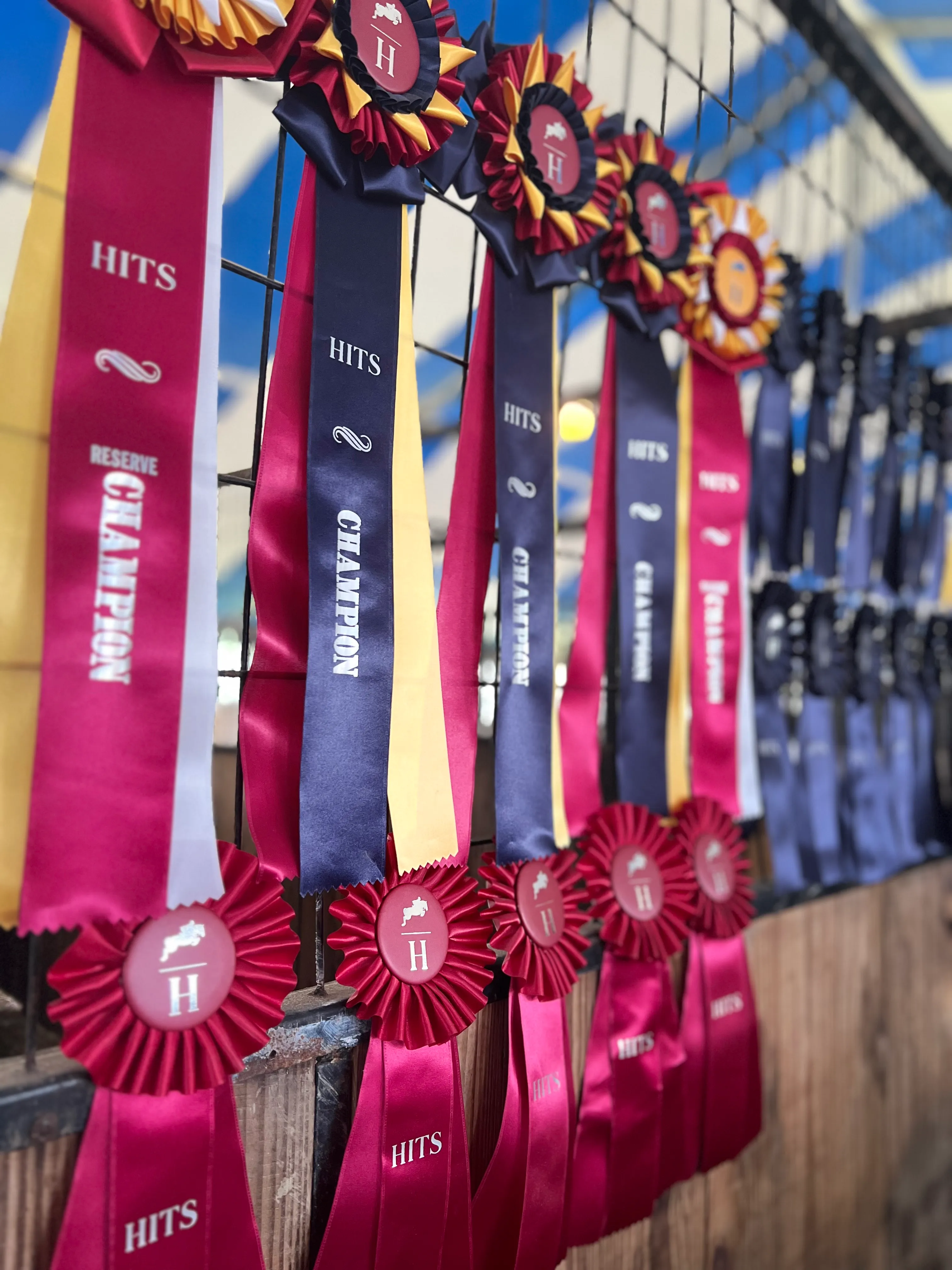 A row of HITS championship ribbons and rosettes hanging on display